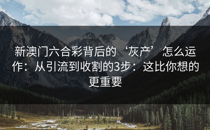 新澳门六合彩背后的‘灰产’怎么运作：从引流到收割的3步：这比你想的更重要