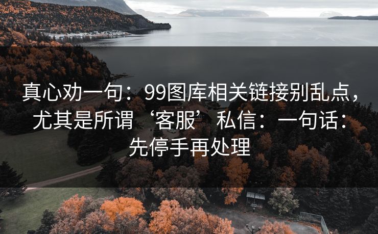 真心劝一句：99图库相关链接别乱点，尤其是所谓‘客服’私信：一句话：先停手再处理