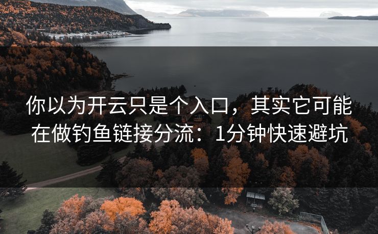 你以为开云只是个入口，其实它可能在做钓鱼链接分流：1分钟快速避坑